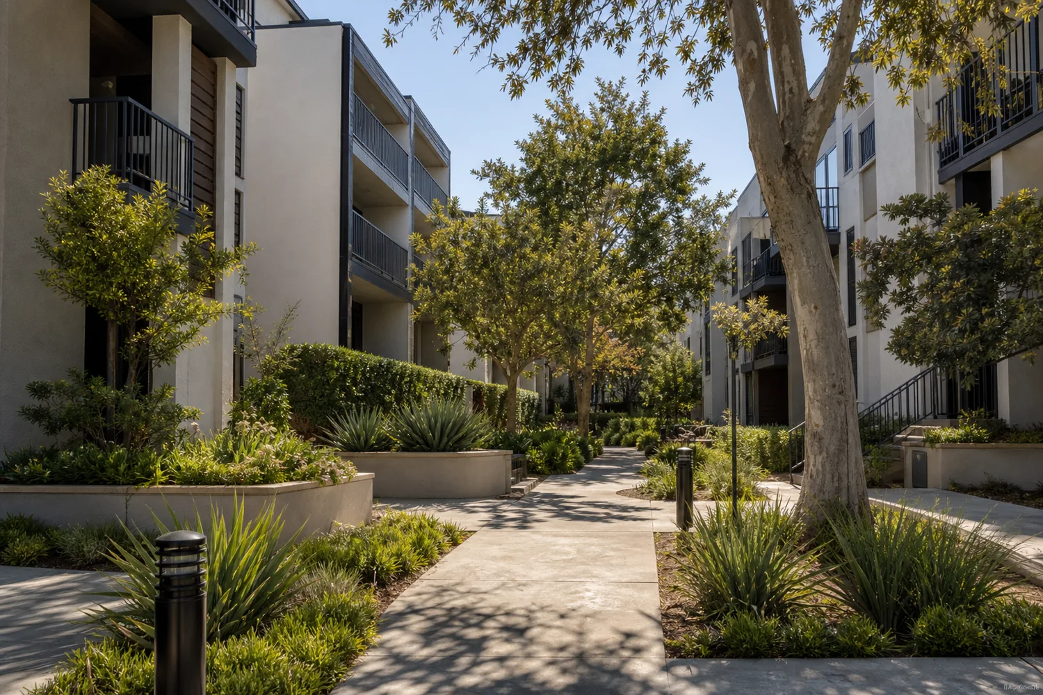Landscaped California multifamily property courtyard